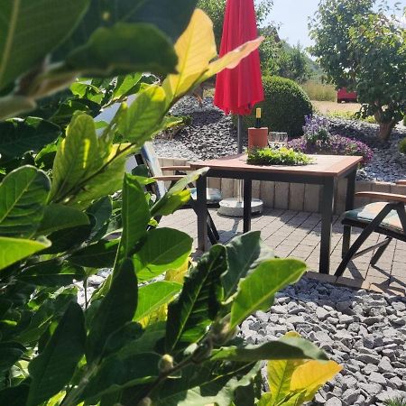 Ferienwohnung Moselzeit ألكين المظهر الخارجي الصورة