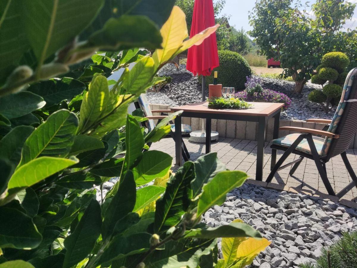 Ferienwohnung Moselzeit ألكين المظهر الخارجي الصورة